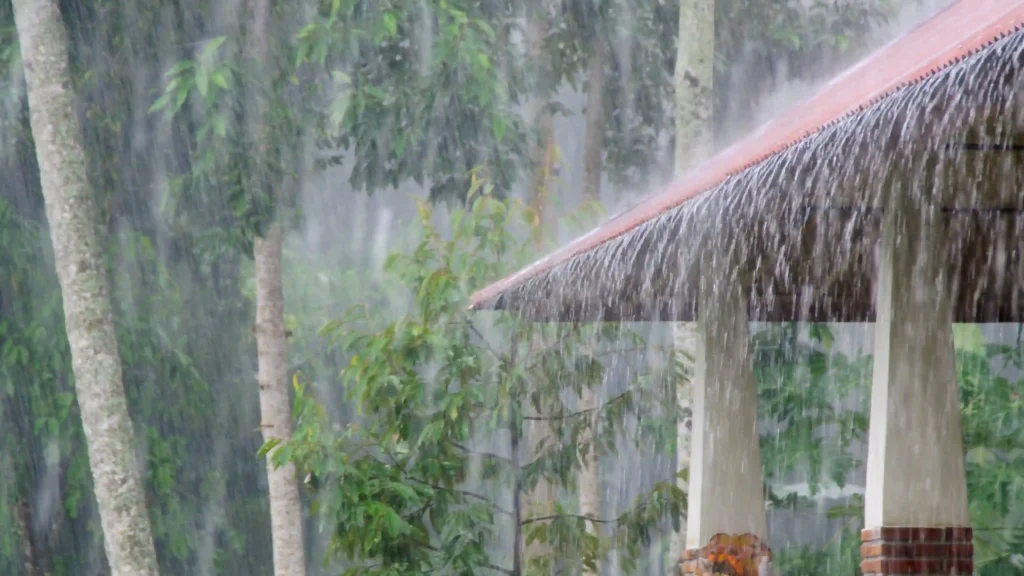 Northeast India Braces for Rainfall and...